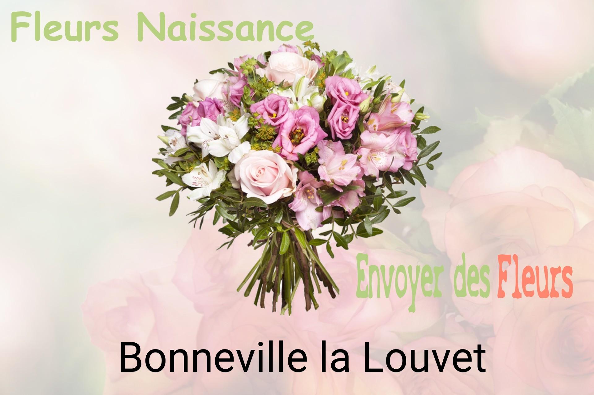 Bouquet de fleurs de naissance livré à Bonneville-la-Louvet